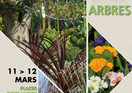 March aux arbres